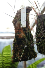 Killikus&reg; Fotographie